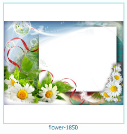 marco de fotos de flores 1850