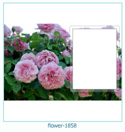 marco de fotos de flores 1858