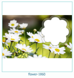 marco de fotos de flores 1860