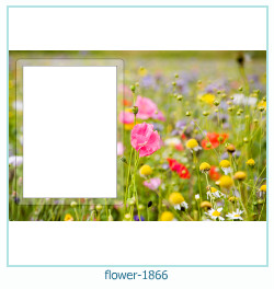 marco de fotos de flores 1866