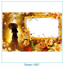 marco de fotos de flores 1967