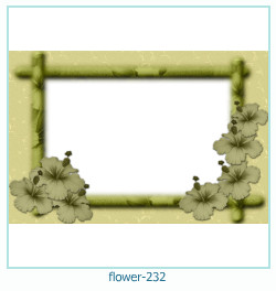 marco de fotos de flores 232
