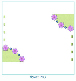marco de fotos de flores 243