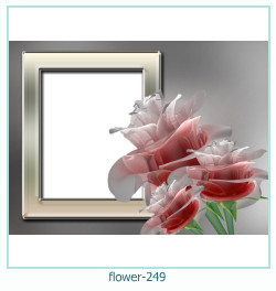 marco de fotos de flores 249