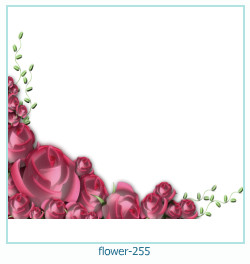 marco de fotos de flores 255