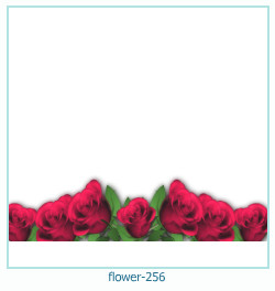 marco de fotos de flores 256