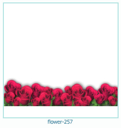 marco de fotos de flores 257