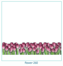 marco de fotos de flores 260