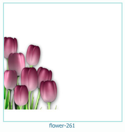 marco de fotos de flores 261