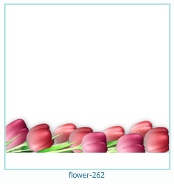 marco de fotos de flores 262
