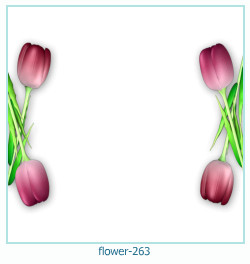 marco de fotos de flores 263