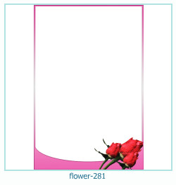 marco de fotos de flores 281