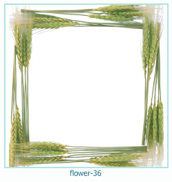 marco de fotos de flores 36
