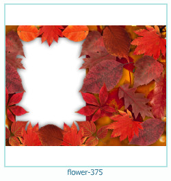 marco de fotos de flores 375