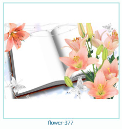 marco de fotos de flores 377