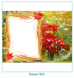 marco de fotos de flores 464