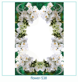 marco de fotos de flores 538