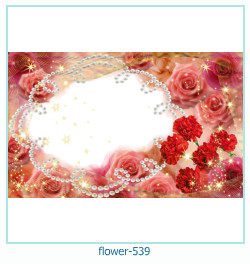marco de fotos de flores 539