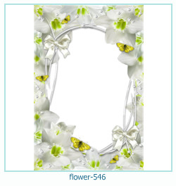 marco de fotos de flores 546
