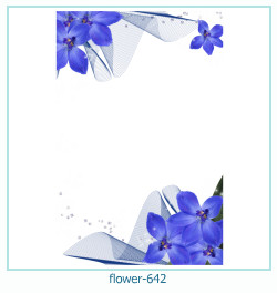 marco de fotos de flores 642