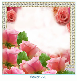 marco de fotos de flores 720