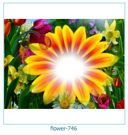 marco de fotos de flores 746