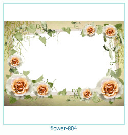 marco de fotos de flores 804
