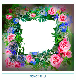 marco de fotos de flores 810