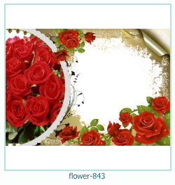 marco de fotos de flores 843