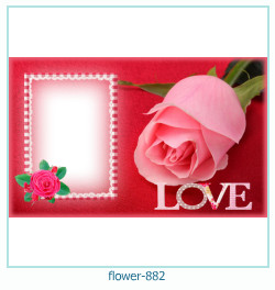 marco de fotos de flores 882