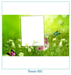 marco de fotos de flores 891