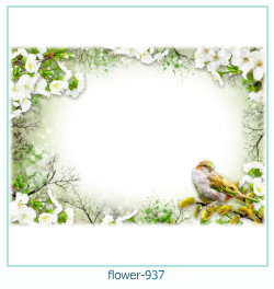 marco de fotos de flores 937