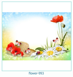 marco de fotos de flores 993