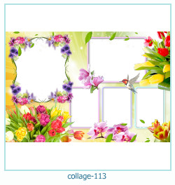 Collage picture frame 113