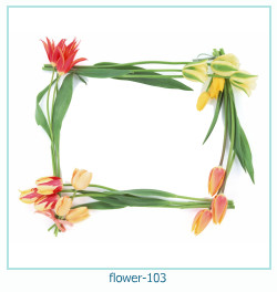 marco de fotos de flores 103