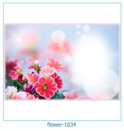 marco de fotos de flores 1034