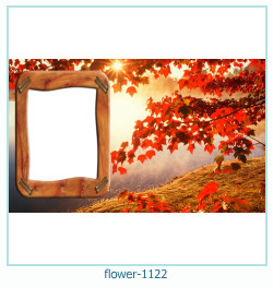 marco de fotos de flores 1122