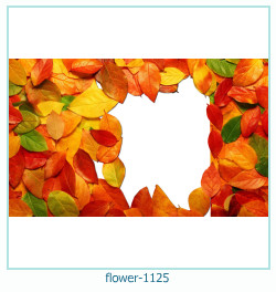 marco de fotos de flores 1125