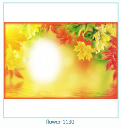marco de fotos de flores 1130