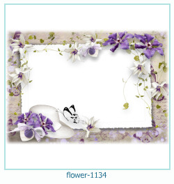 marco de fotos de flores 1134