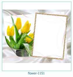 marco de fotos de flores 1151