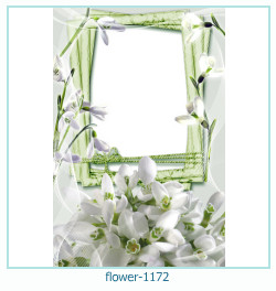 marco de fotos de flores 1172