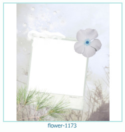 marco de fotos de flores 1173