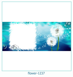 marco de fotos de flores 1237