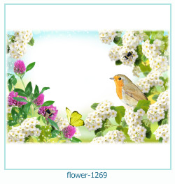 marco de fotos de flores 1269