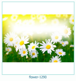 marco de fotos de flores 1290