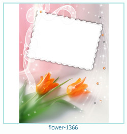 marco de fotos de flores 1366