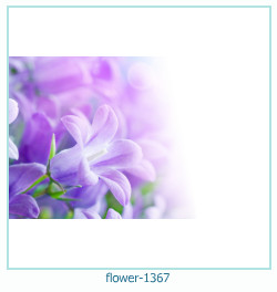 marco de fotos de flores 1367