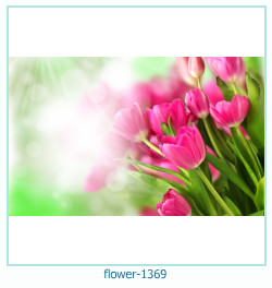 marco de fotos de flores 1369