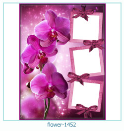 marco de fotos de flores 1452